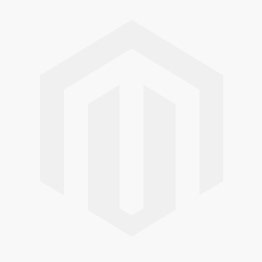 Ludilabel obtient le prix Biznext de la start up de l'année en 2015 logo du prix de la Start de l'année BizNext